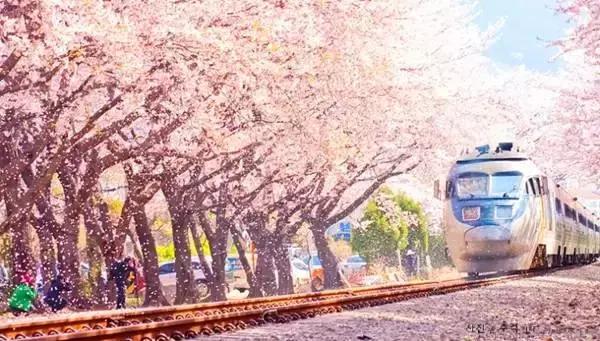 韩国攻略必备,想去韩国玩要准备什么