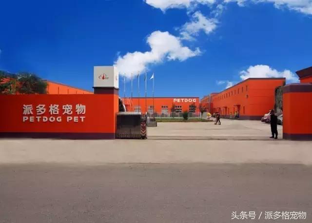 cctv采访万涛,cctv专访