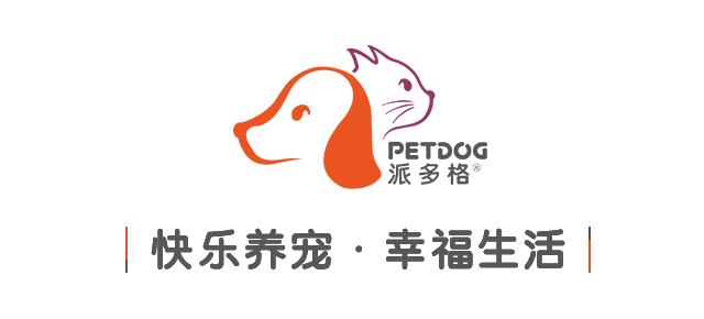 cctv采访万涛,cctv专访