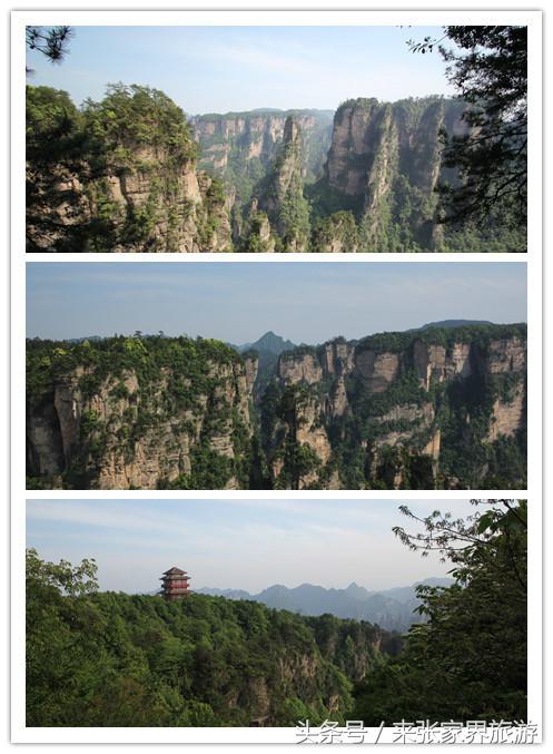 张家界森林公园黄龙洞,张家界天门山森林公园四天攻略