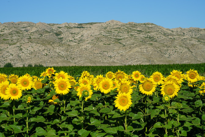 感受大西北的异域风情环疆游结束,南北疆深度游北疆进入南疆
