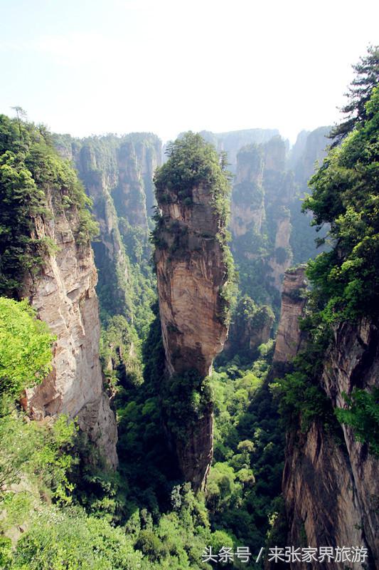 张家界森林公园黄龙洞,张家界天门山森林公园四天攻略