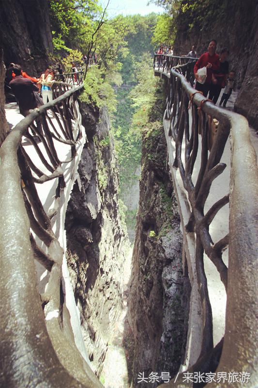 张家界森林公园黄龙洞,张家界天门山森林公园四天攻略