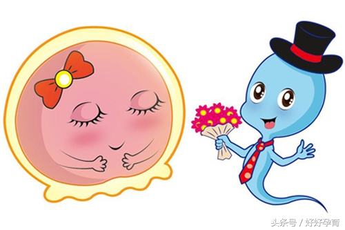 10大判断标准快来看看你的卵子质量有几星