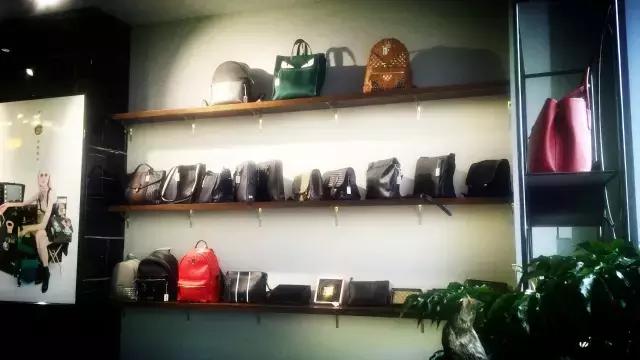 胖虎来临沂了！胖虎是谁？他来干啥？