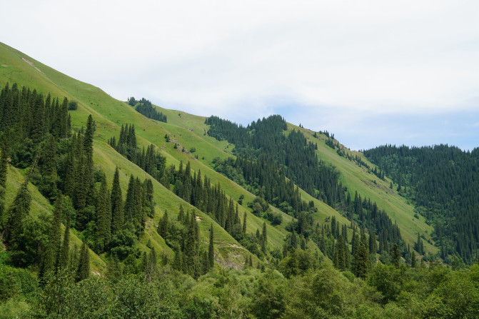 感受大西北的异域风情环疆游结束,南北疆深度游北疆进入南疆