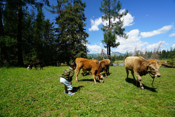 感受大西北的异域风情环疆游结束,南北疆深度游北疆进入南疆