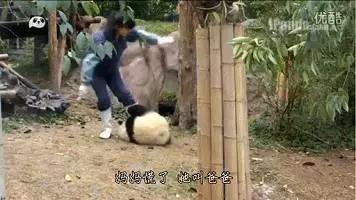 未来最稳定最吃香的十大职业,十大最舒服的工作排行榜