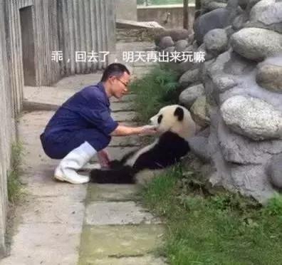 未来最稳定最吃香的十大职业,十大最舒服的工作排行榜