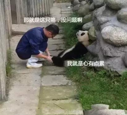 未来最稳定最吃香的十大职业,十大最舒服的工作排行榜