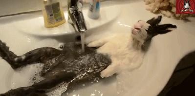 如果突然停电对人有什么影响,如果天气很热停电了怎么办