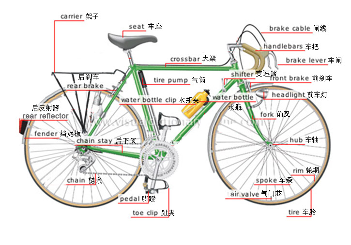 骑自行车的亲子英语,教小孩骑自行车