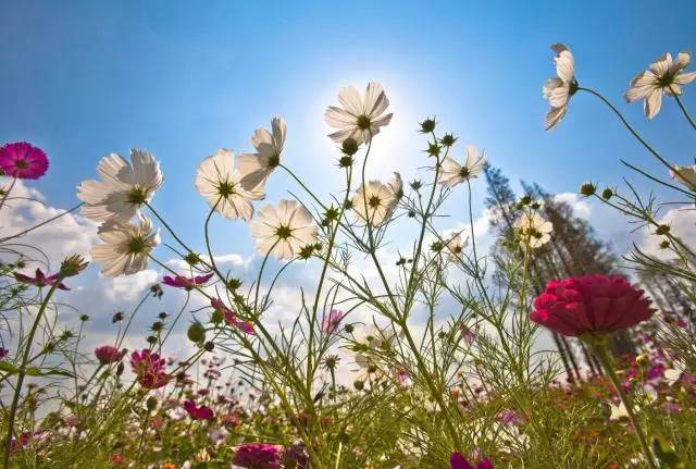 银川七月最近有什么活动,银川7月20日有什么活动