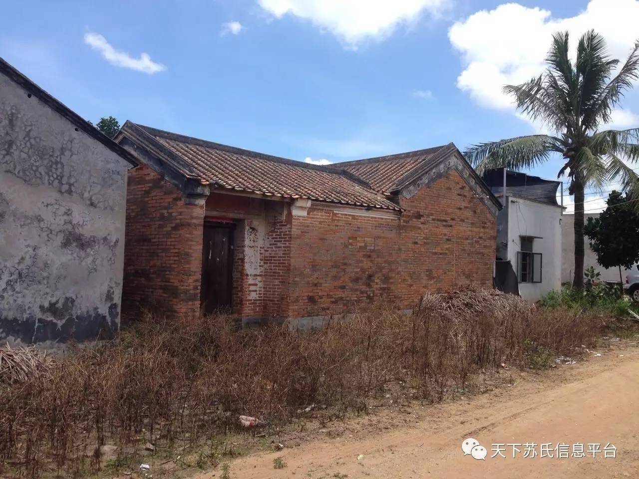 湛江雷州市客路镇高上村,雷州市客路镇高上村