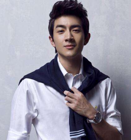 东北十大男明星排名,九位男明星