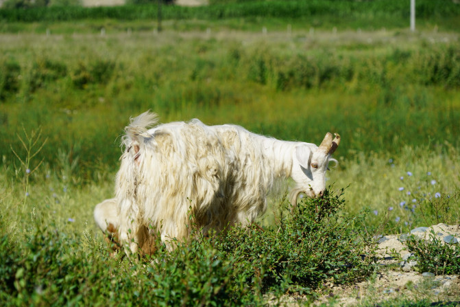 感受大西北的异域风情环疆游结束,南北疆深度游北疆进入南疆