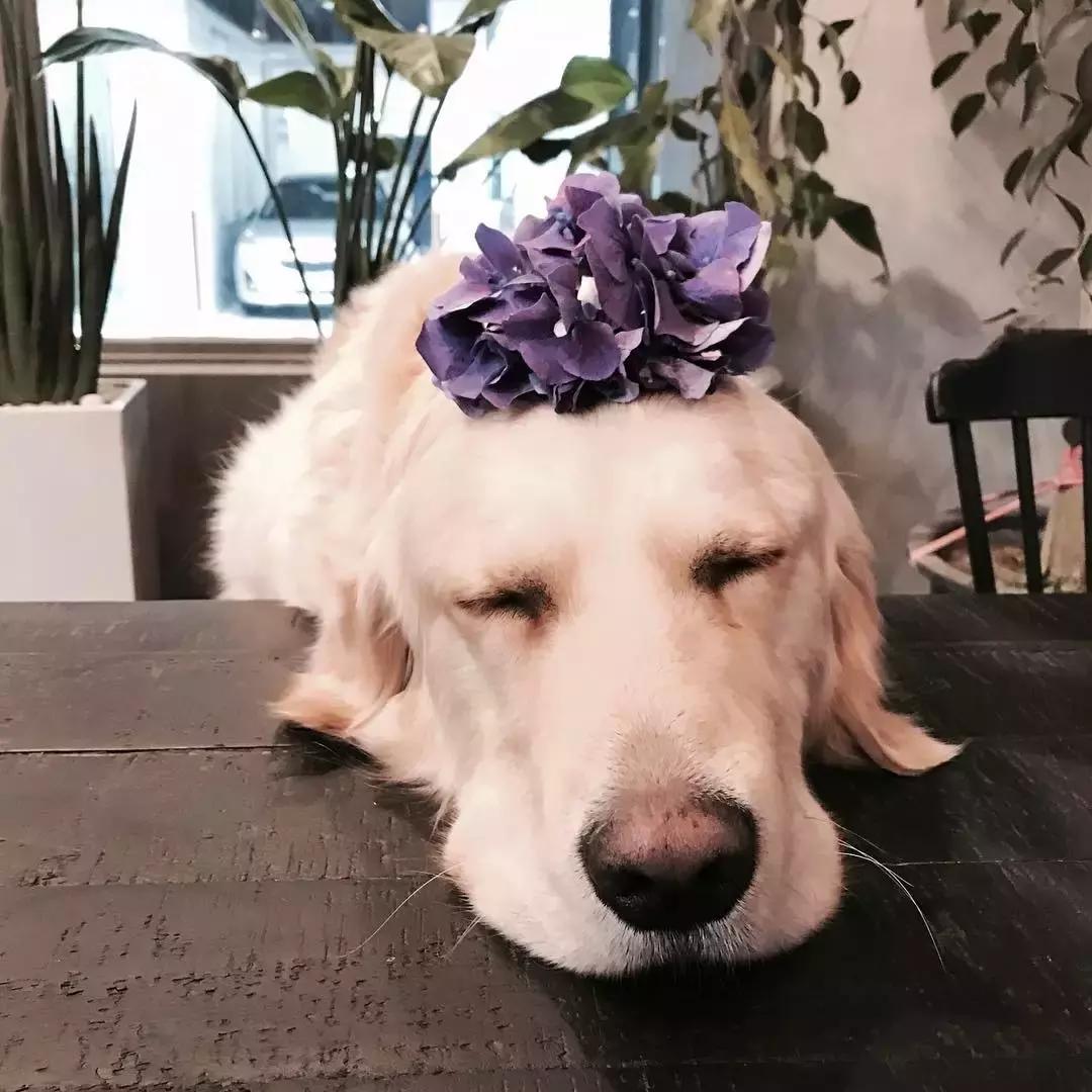 韩国攻略必备,想去韩国玩要准备什么