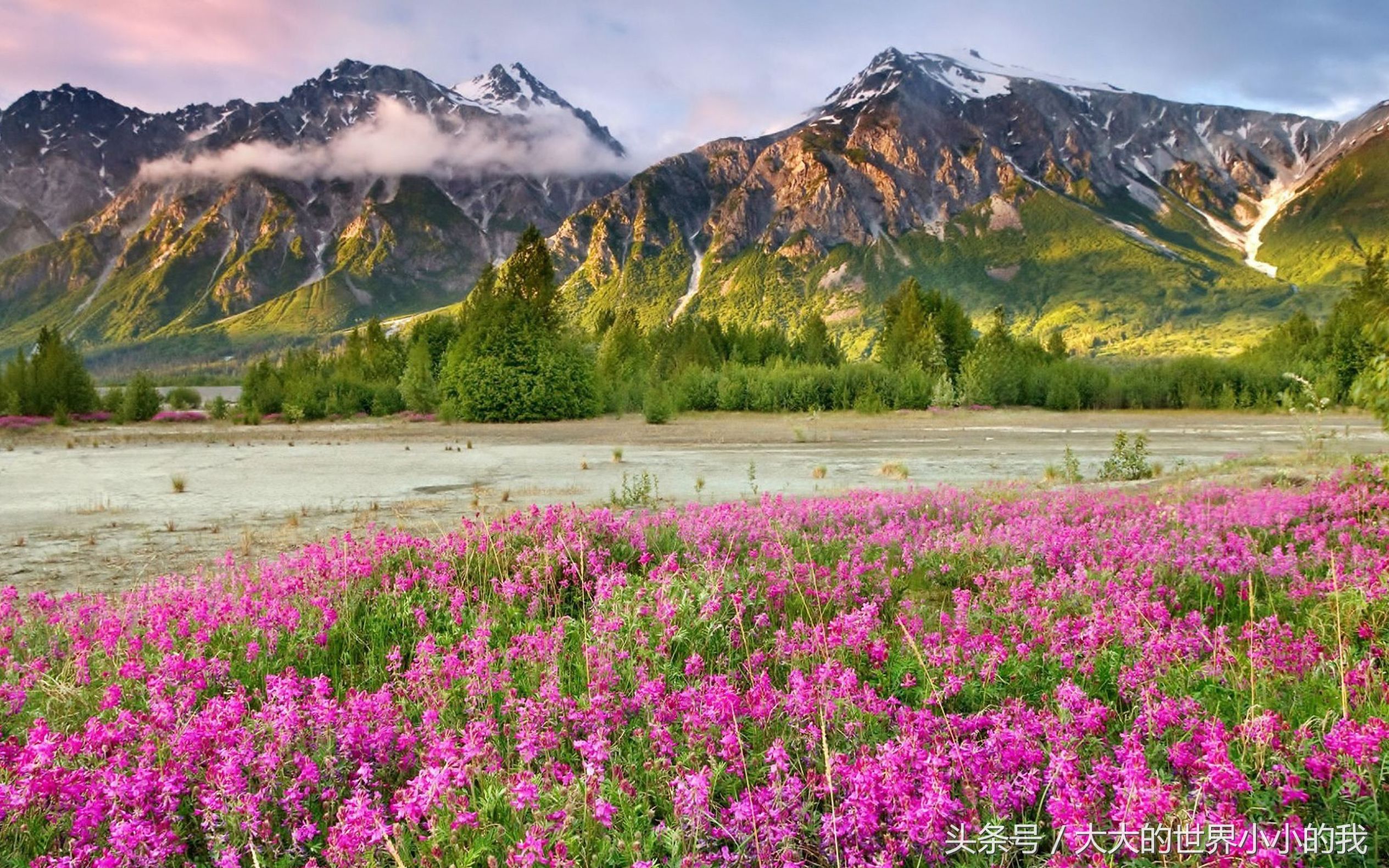 熬夜整理北京旅游攻略,熬夜整理旅游攻略