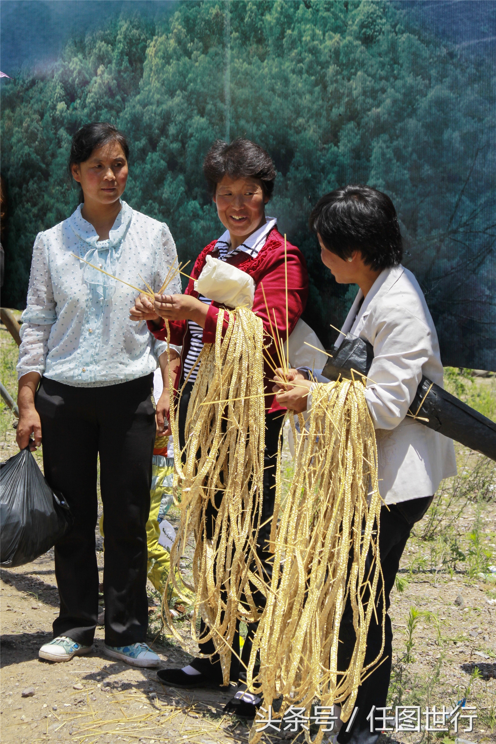 炎炎夏日发的句子,炎炎夏日乡村的说说
