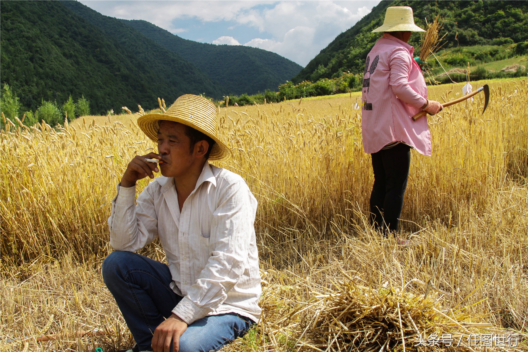 炎炎夏日发的句子,炎炎夏日乡村的说说