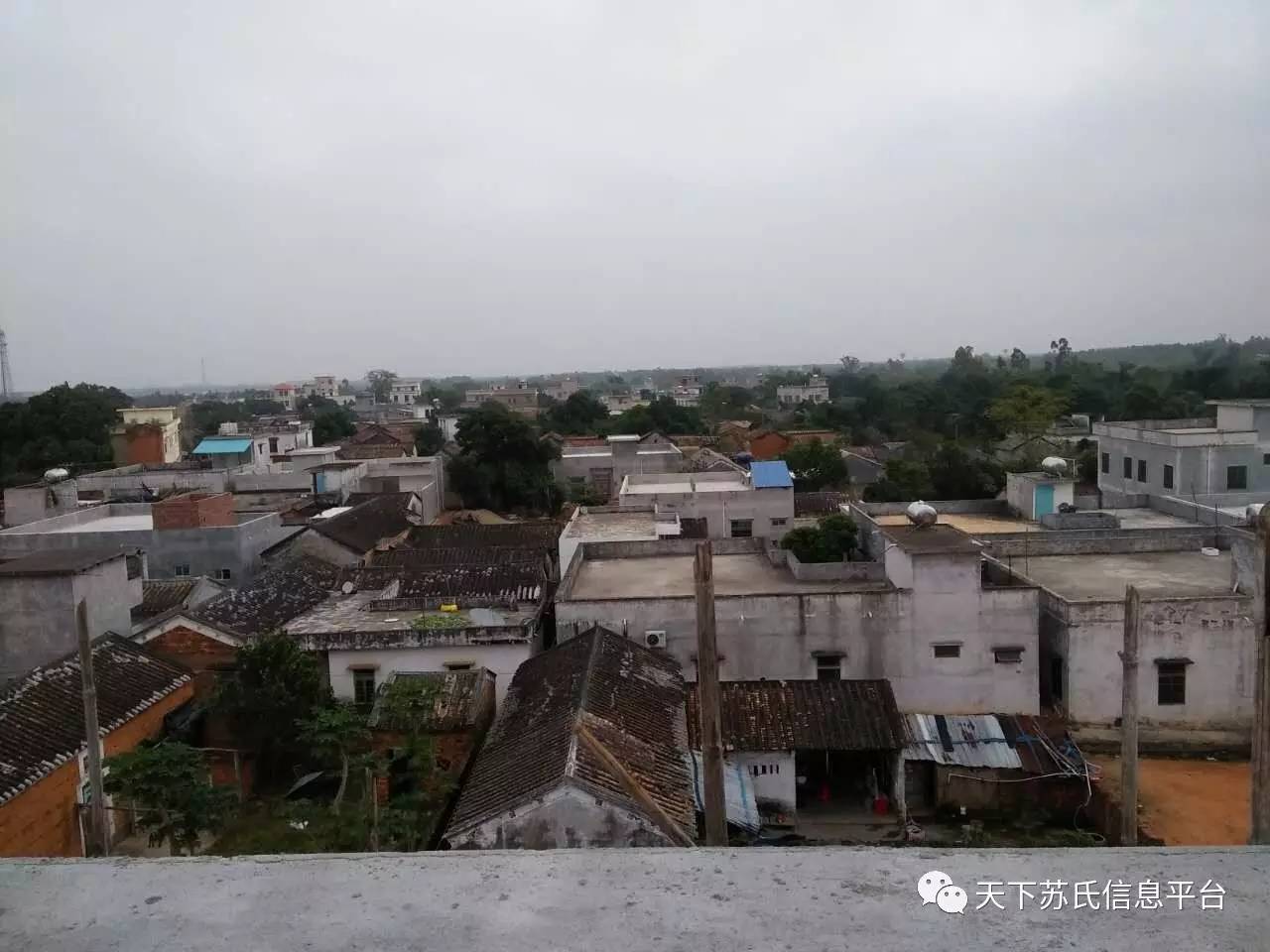 湛江雷州市客路镇高上村,雷州市客路镇高上村