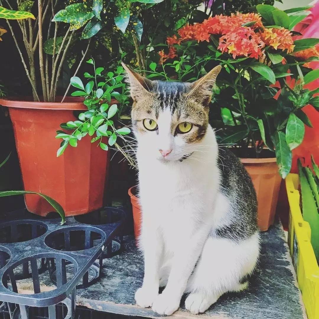 厌烦买买买后的香港还能玩什么？99%的旅游指南都看不到这些