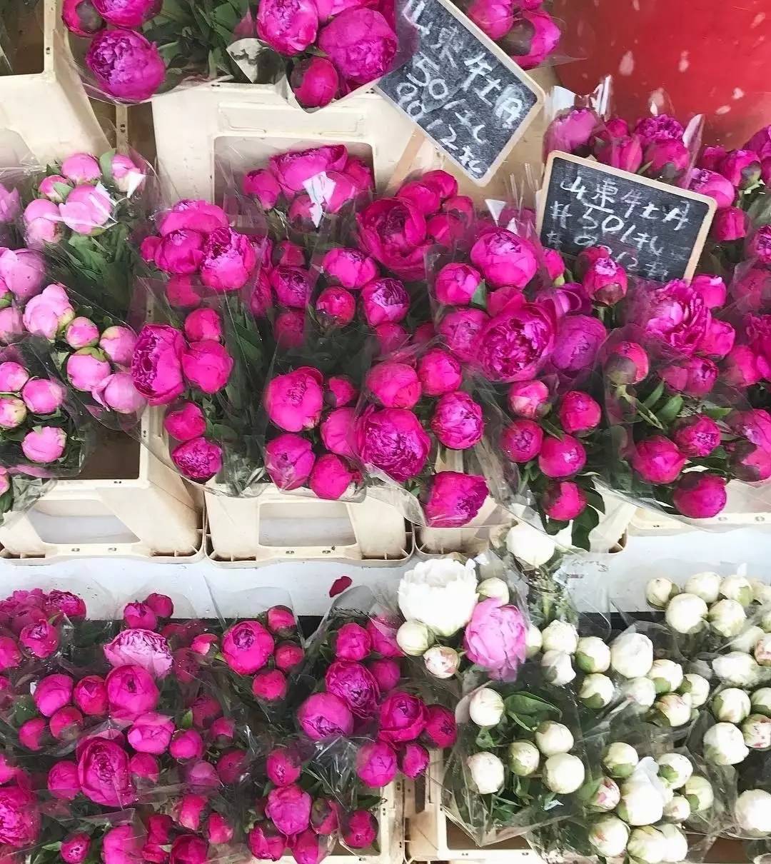 厌烦买买买后的香港还能玩什么？99%的旅游指南都看不到这些