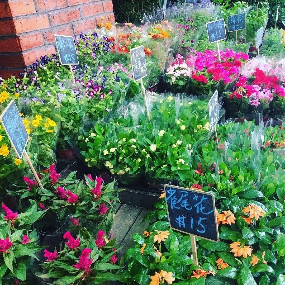 厌烦买买买后的香港还能玩什么？99%的旅游指南都看不到这些