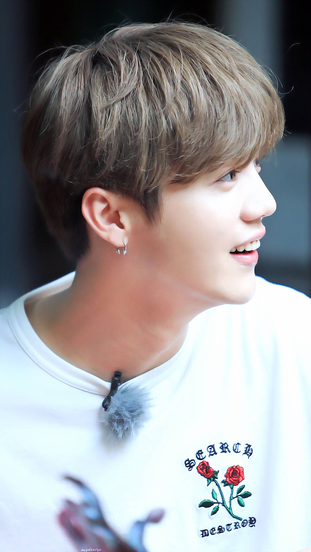 鹿晗，春风十里不如壁纸有你