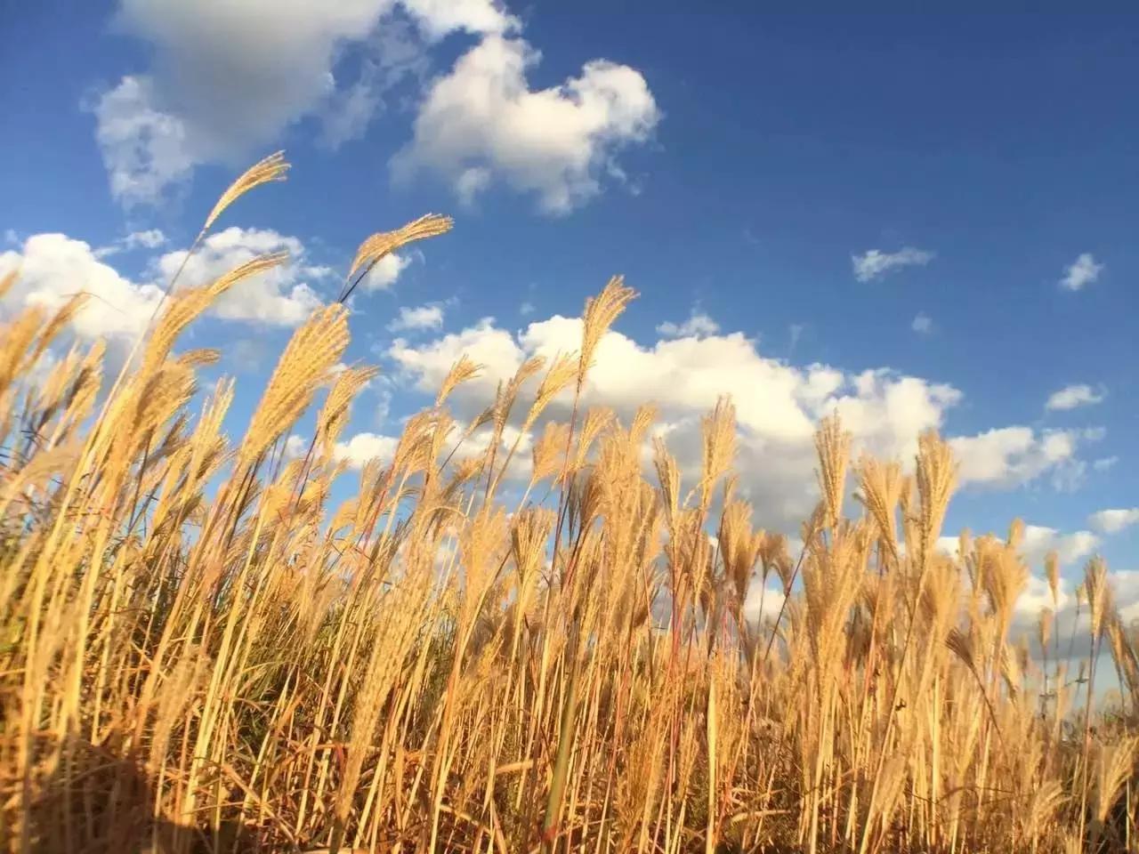 韩国攻略必备,想去韩国玩要准备什么