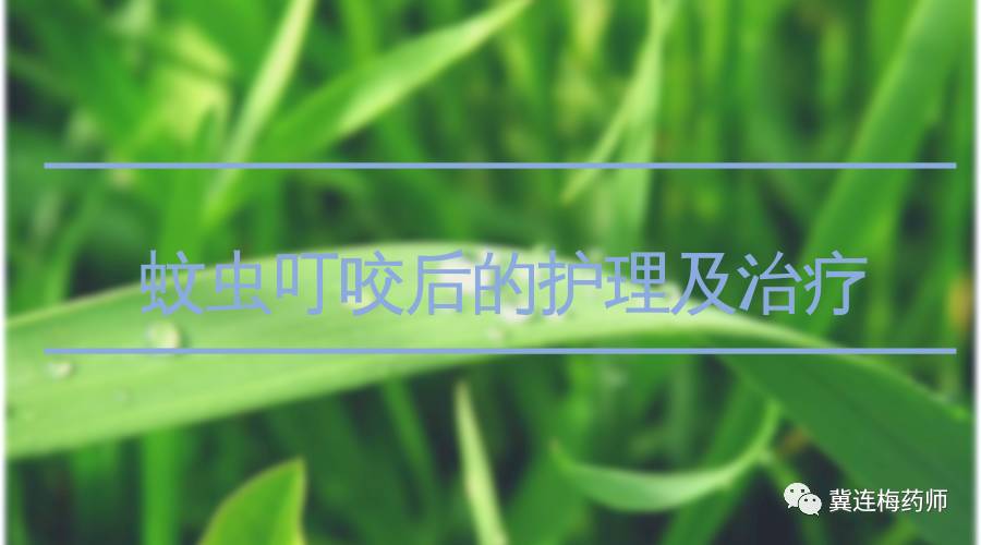 猪被蚊虫叮咬有红点怎样治疗,炉甘石治疗蚊虫叮咬吗