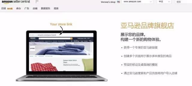 旗舰店有什么优势和弊端,一分钟带你了解十大名店