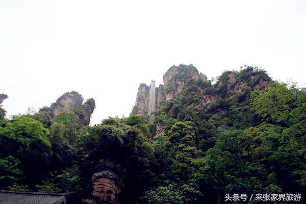 张家界森林公园黄龙洞,张家界天门山森林公园四天攻略