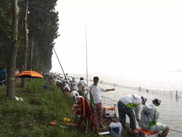 行营钓鱼俱乐部,化氏高湖2024垂钓大赛冠军