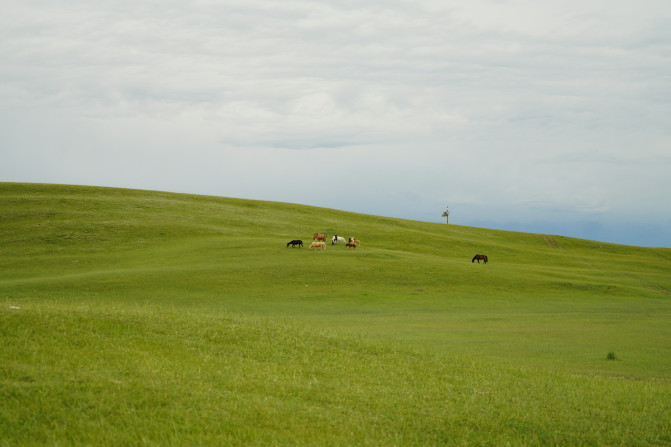 感受大西北的异域风情环疆游结束,南北疆深度游北疆进入南疆