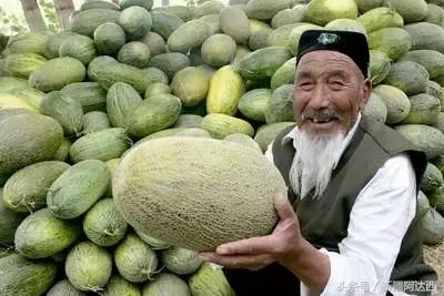 沈阳必买十大特产去哪买,来海南儋州必买的十大特产