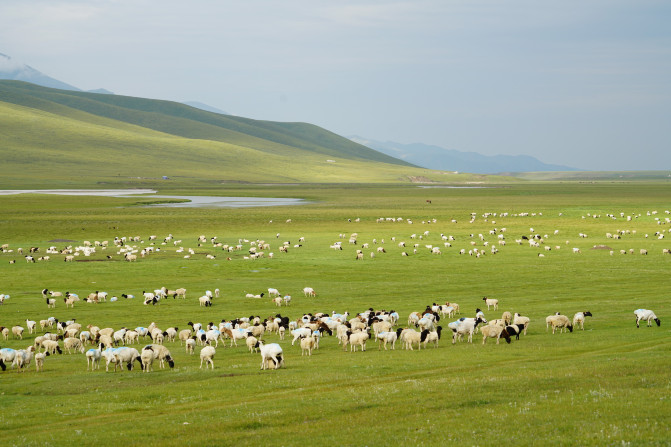 感受大西北的异域风情环疆游结束,南北疆深度游北疆进入南疆