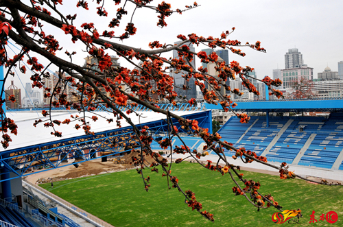 中国广州足球球场,广州赛区球场巡礼