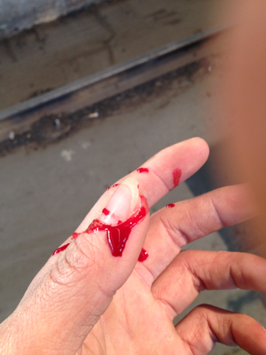 狗狗咬人怎么纠正最有效的方法,狗狗咬人一招搞定