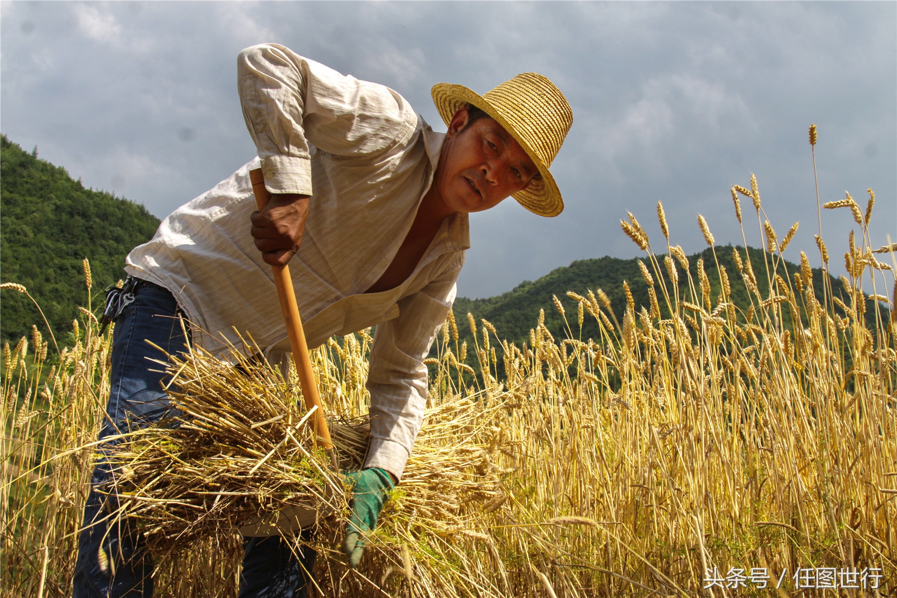 炎炎夏日发的句子,炎炎夏日乡村的说说