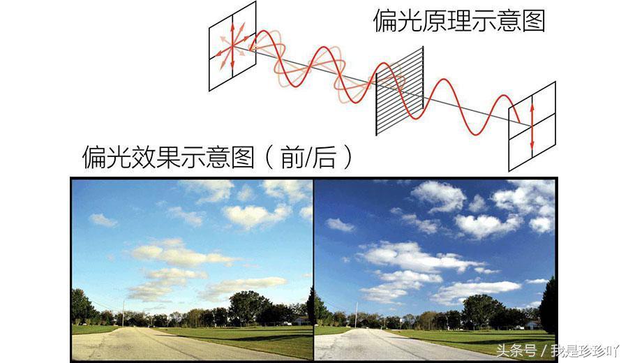 评测太阳镜品牌推荐,选太阳镜看什么