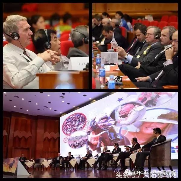 国际驭马文化节展示,cecf国际驭马文化节