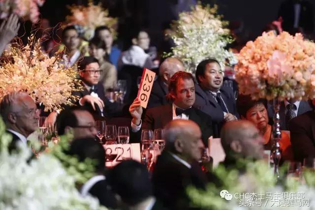 国际驭马文化节展示,cecf国际驭马文化节