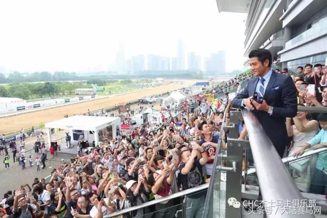 国际驭马文化节展示,cecf国际驭马文化节