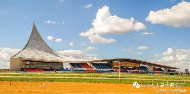 国际驭马文化节展示,cecf国际驭马文化节