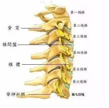疼痛定位怎么做,疼痛治疗初期药物剂量调整