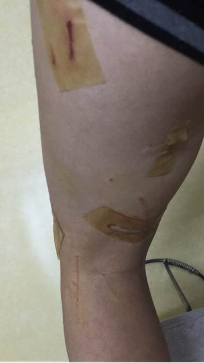 去猫舍，1900买下只暹罗猫，喂养两年后，我们的噩梦开始了！