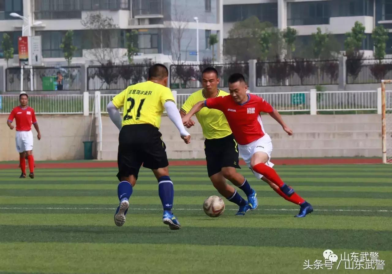 卫士动力110,卫士动力