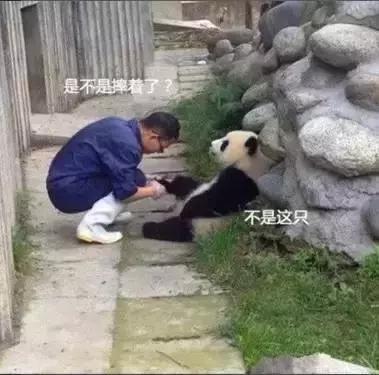 未来最稳定最吃香的十大职业,十大最舒服的工作排行榜