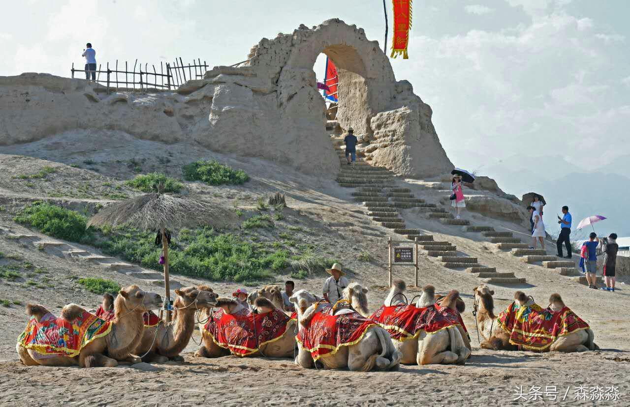 西部影视城一枝独秀,西部影视城荒凉